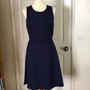 Banana Republic dress 12Petite